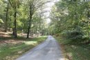 Bois de la Houssaye